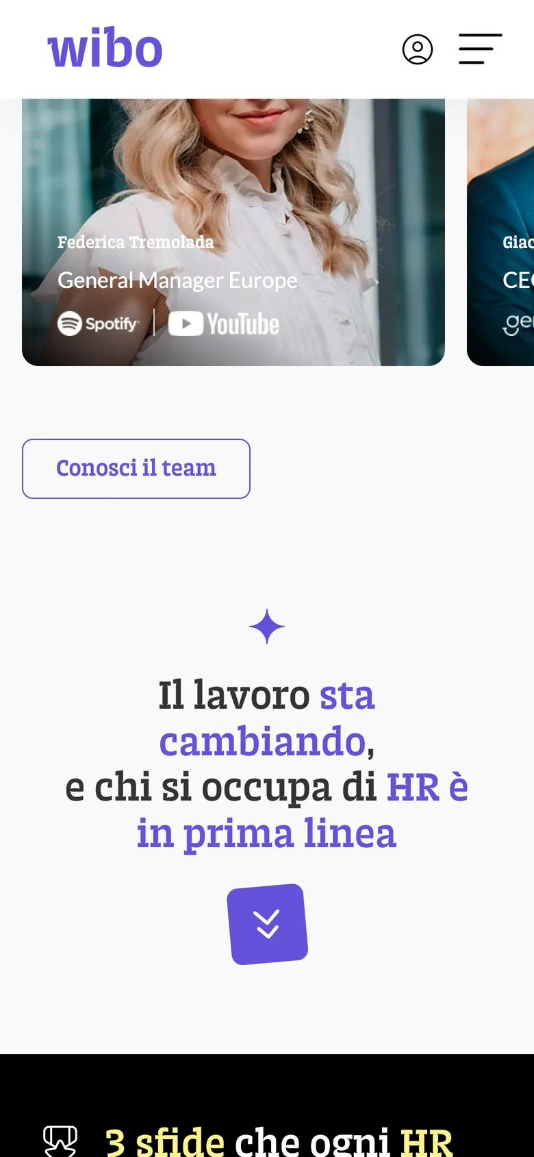 Wibo team section on mobile